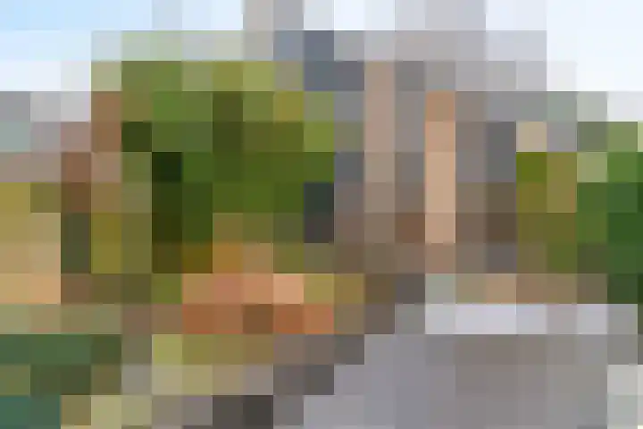 Dukaat 69 Hoorn thumbnail 41