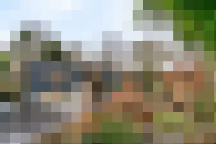Dukaat 69 Hoorn thumbnail 45