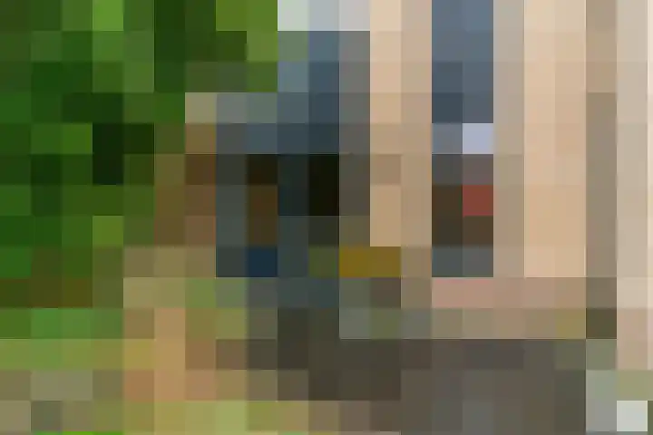 Dukaat 69 Hoorn thumbnail 46