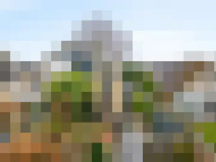 Dukaat 69 Hoorn thumbnail 47