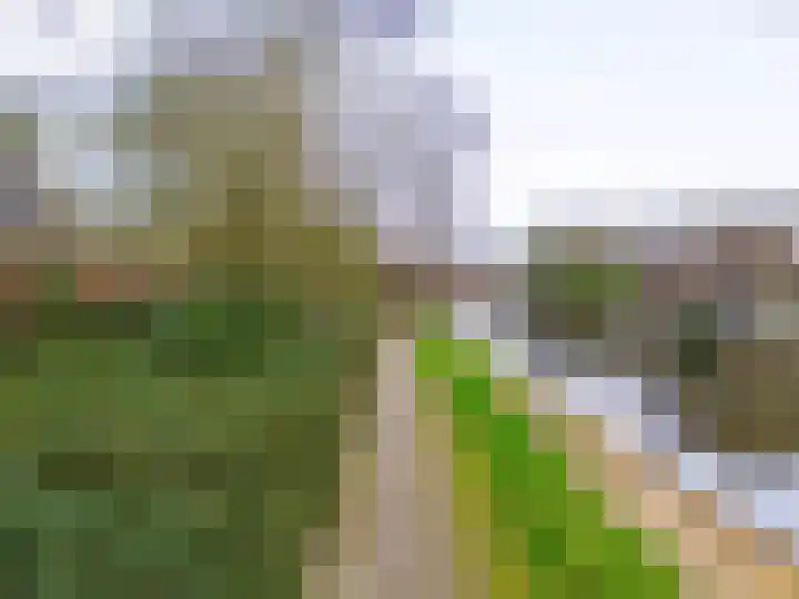 Dukaat 69 Hoorn thumbnail 48