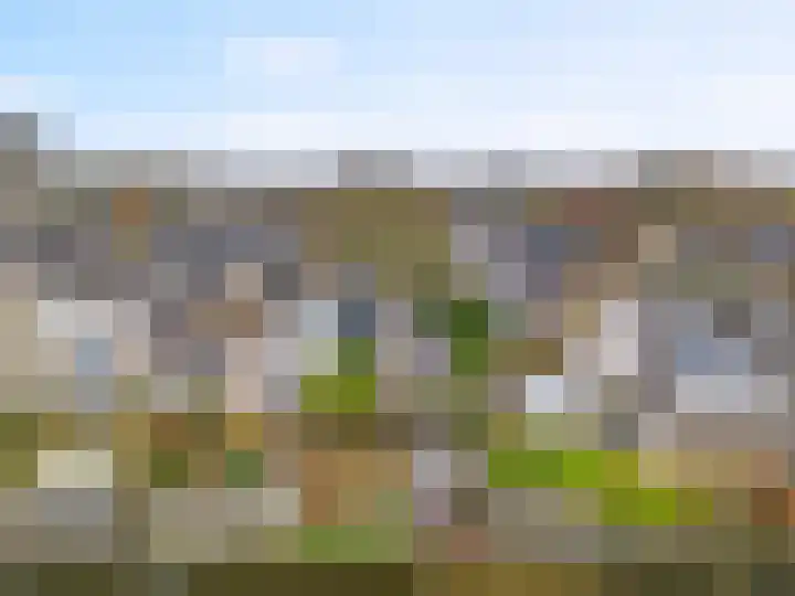 Dukaat 69 Hoorn thumbnail 49