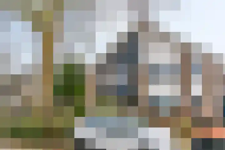 Dukaat 69 Hoorn thumbnail 5