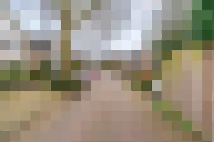 Dukaat 69 Hoorn thumbnail 7