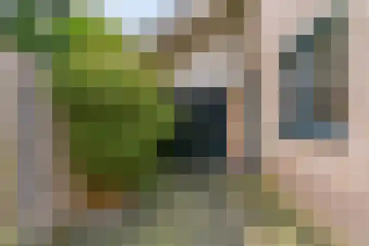 Dukaat 69 Hoorn thumbnail 9