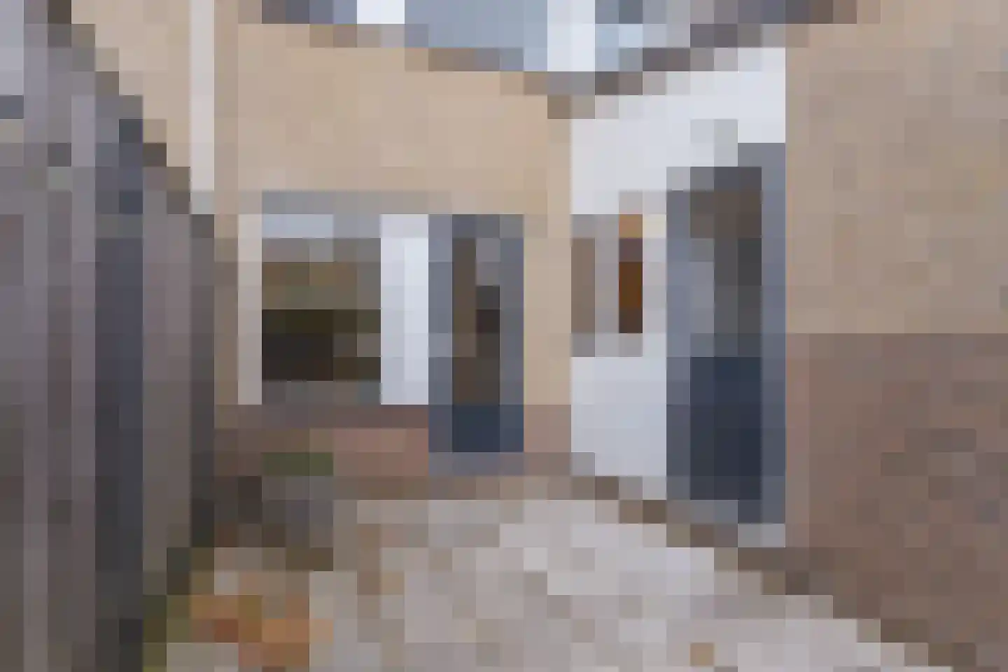 Dukaat 8 Hoorn thumbnail 34