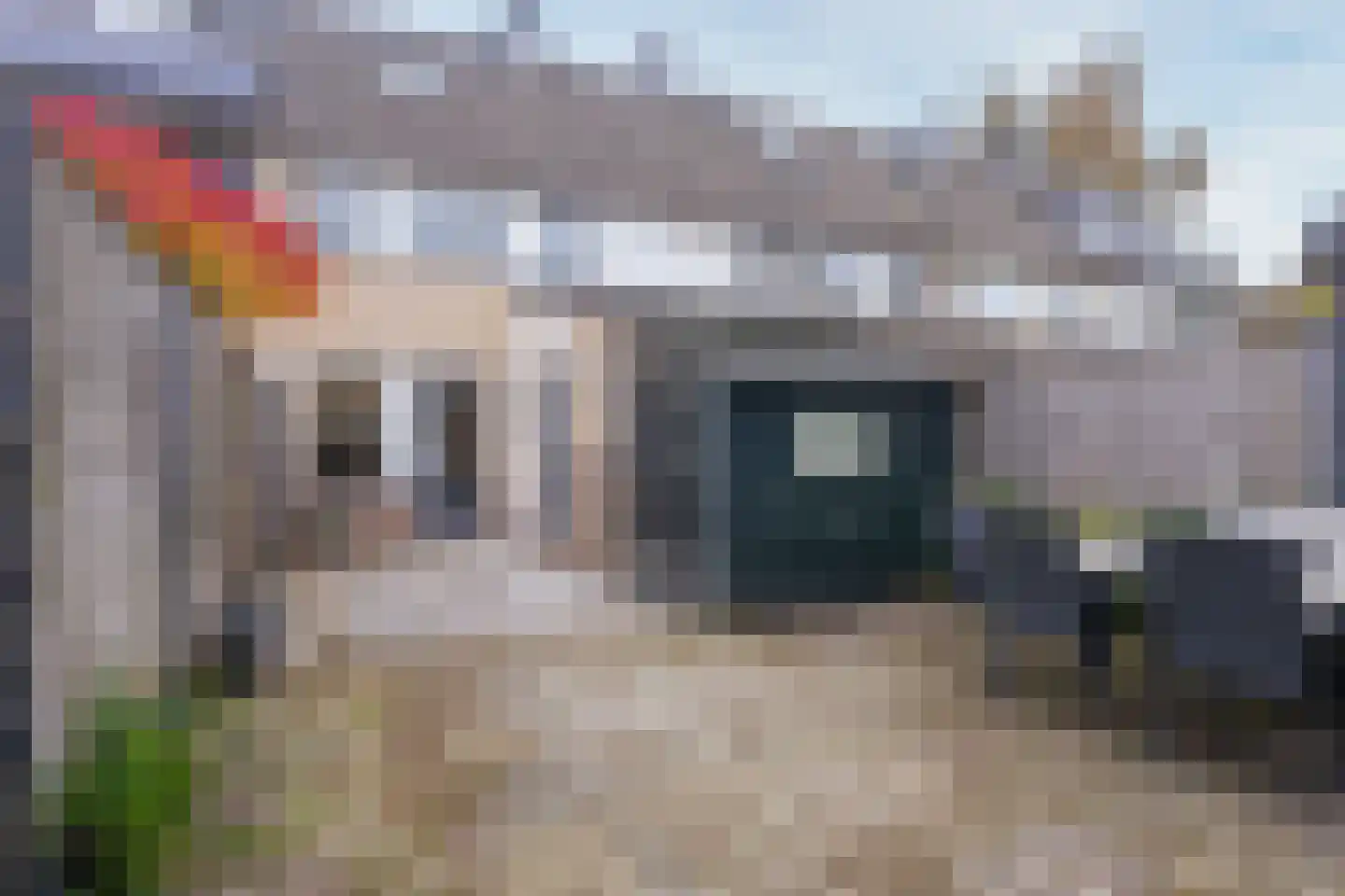 Dukaat 8 Hoorn thumbnail 35