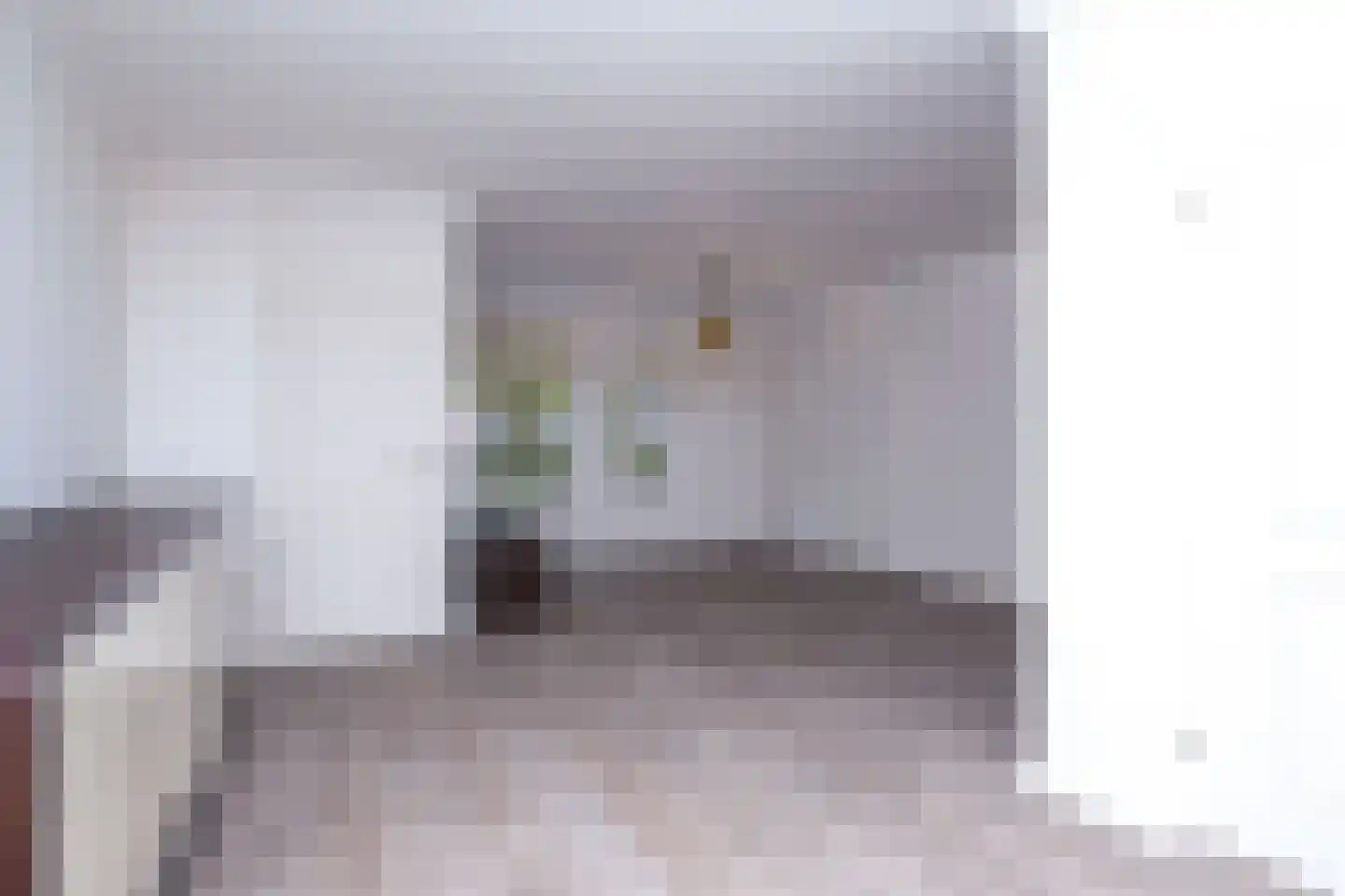 Dukaat 8 Hoorn thumbnail 8