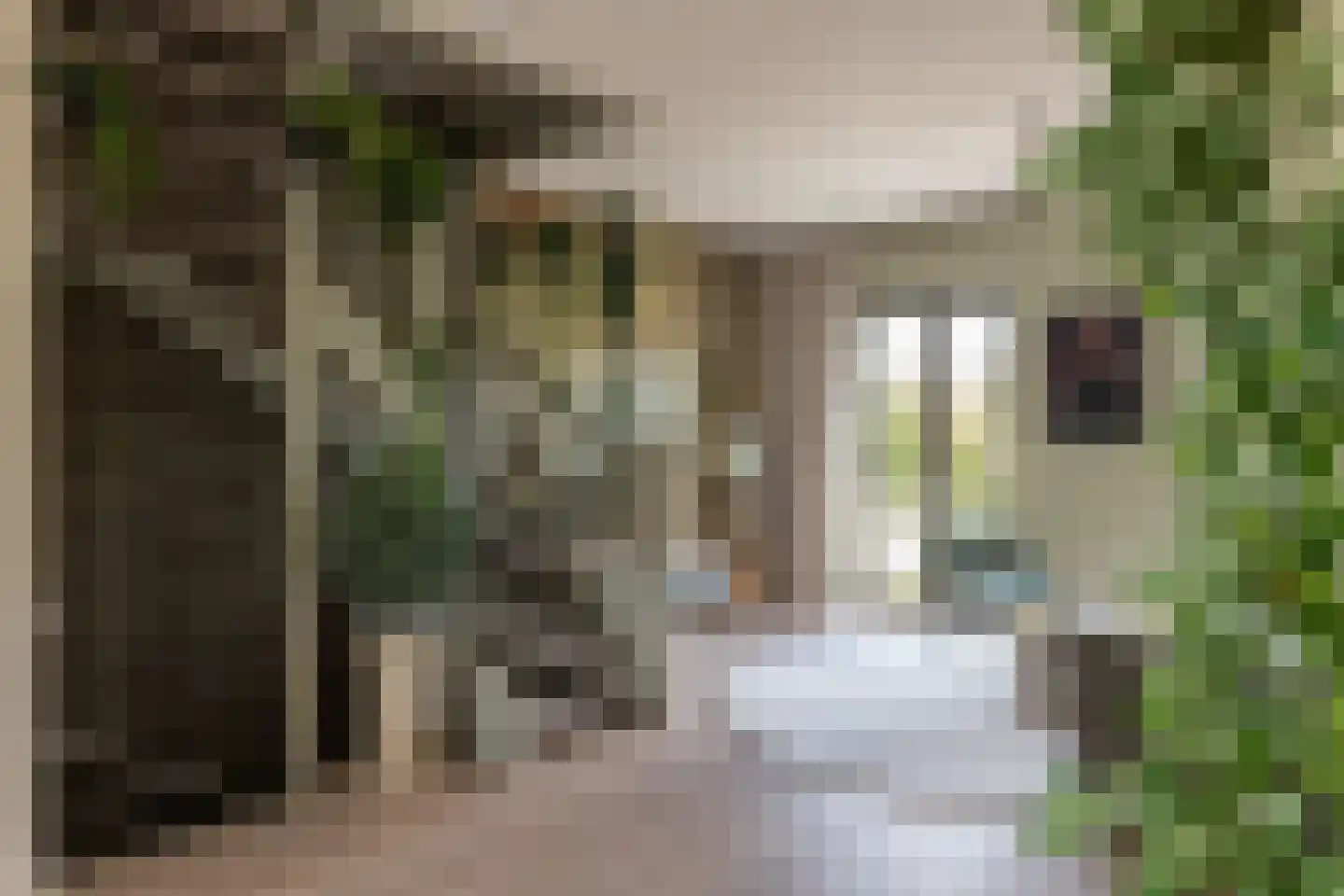 Dukaatlaan 18 Utrecht thumbnail 15