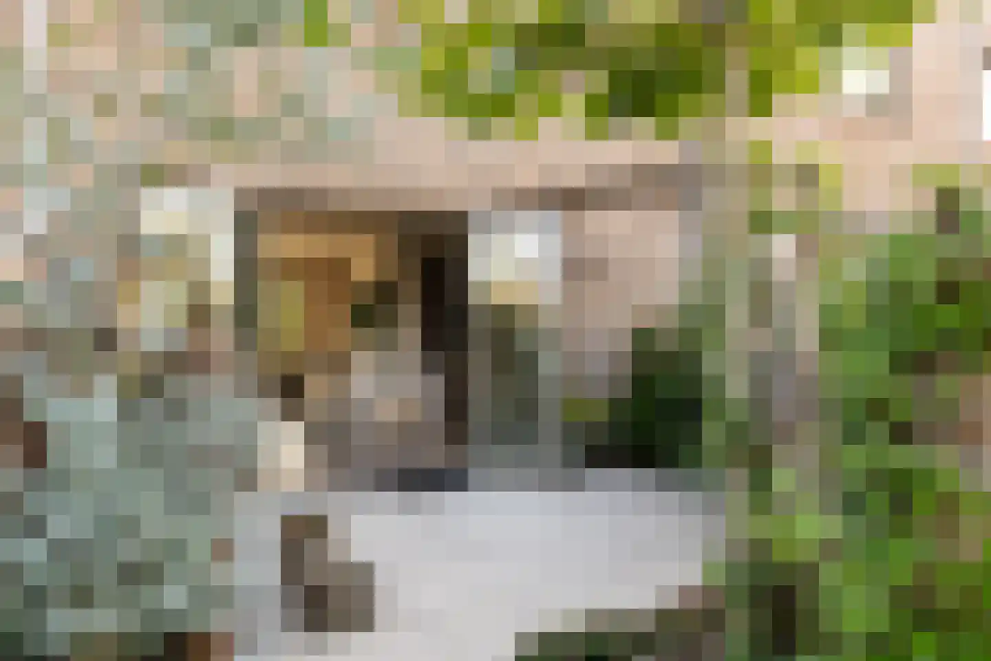 Dukaatlaan 18 Utrecht thumbnail 28