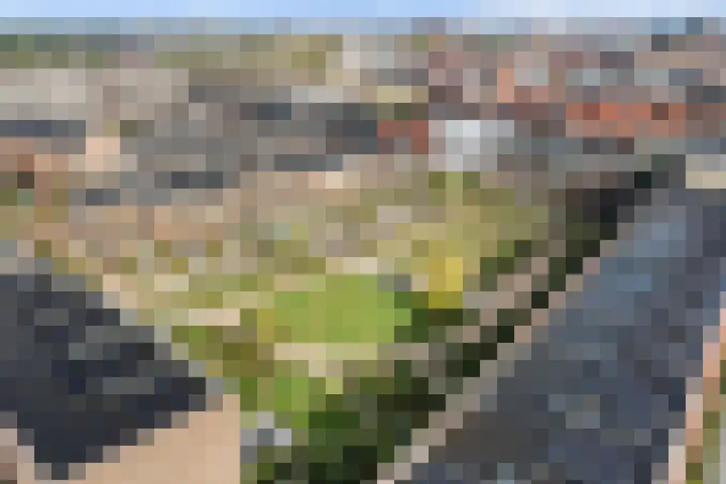 Dukaatlaan 18 Utrecht thumbnail 42