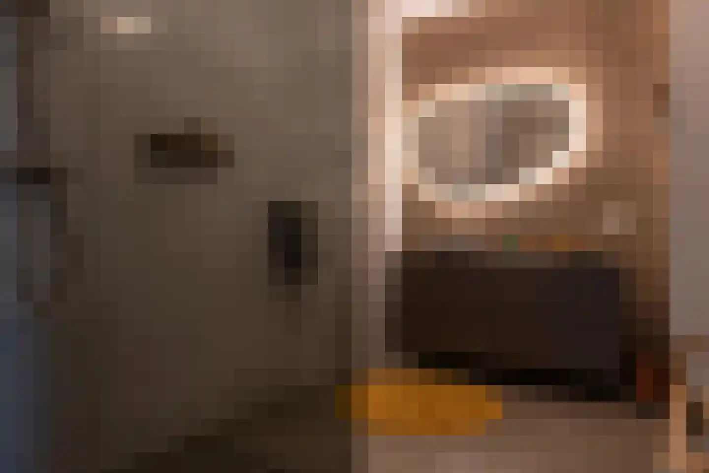 Dukaatlaan 18 Utrecht thumbnail 49