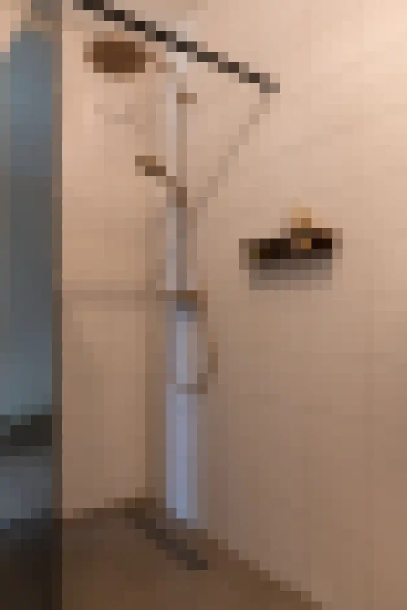 Dukaatlaan 18 Utrecht thumbnail 51