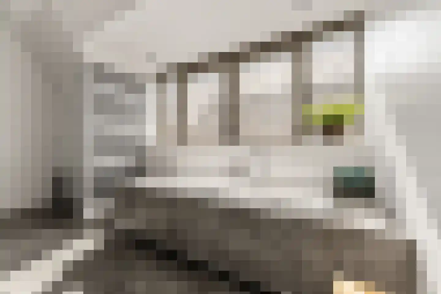 Dukaatlaan 4 Waddinxveen thumbnail 28