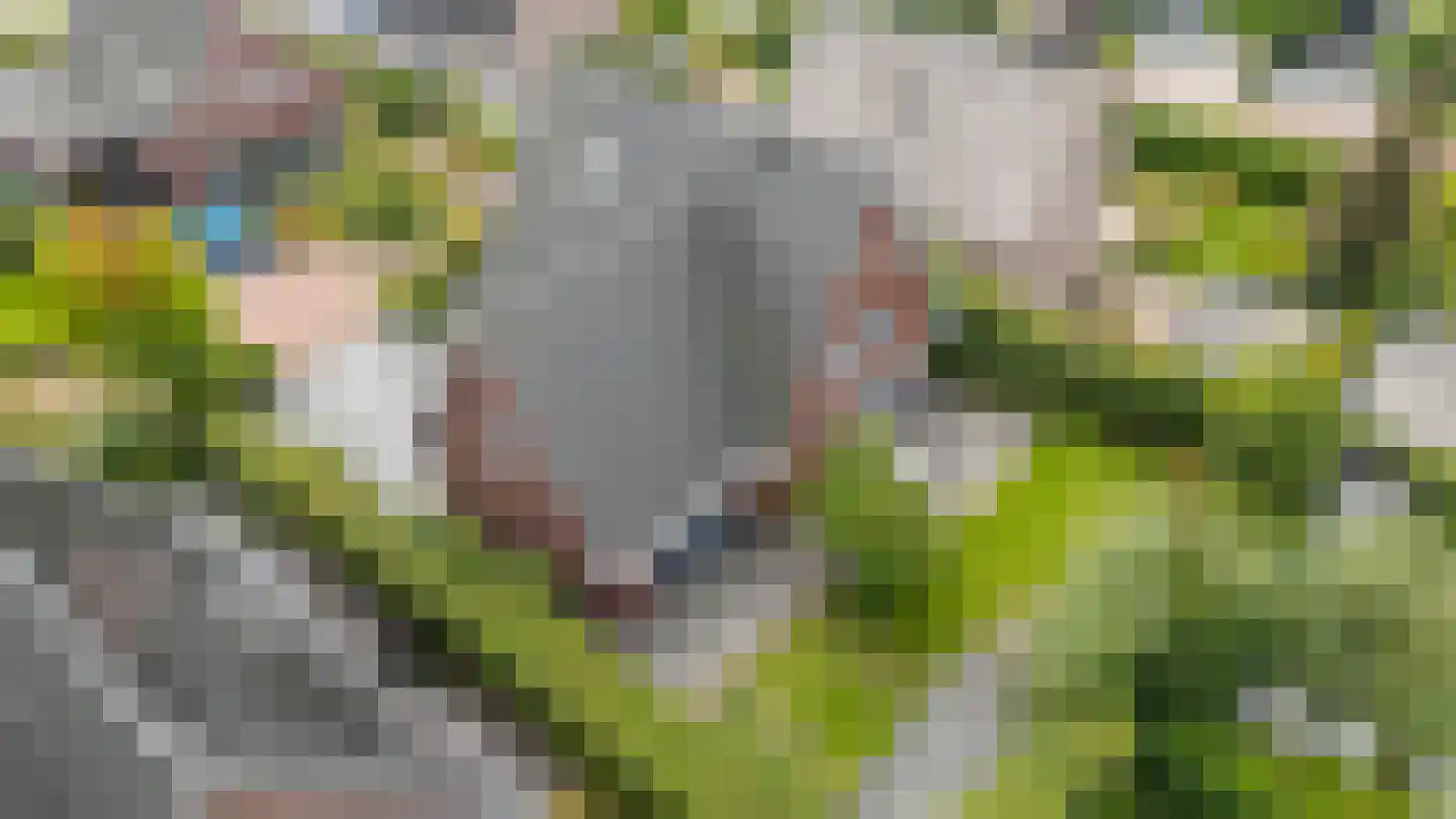 Dukaatlaan 4 Waddinxveen thumbnail 36