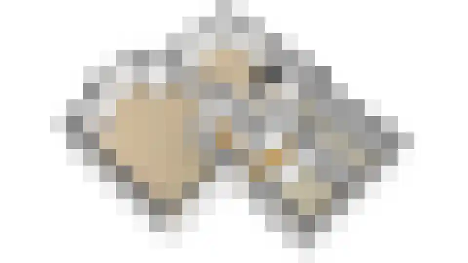 Dukaatlaan 4 Waddinxveen thumbnail 40