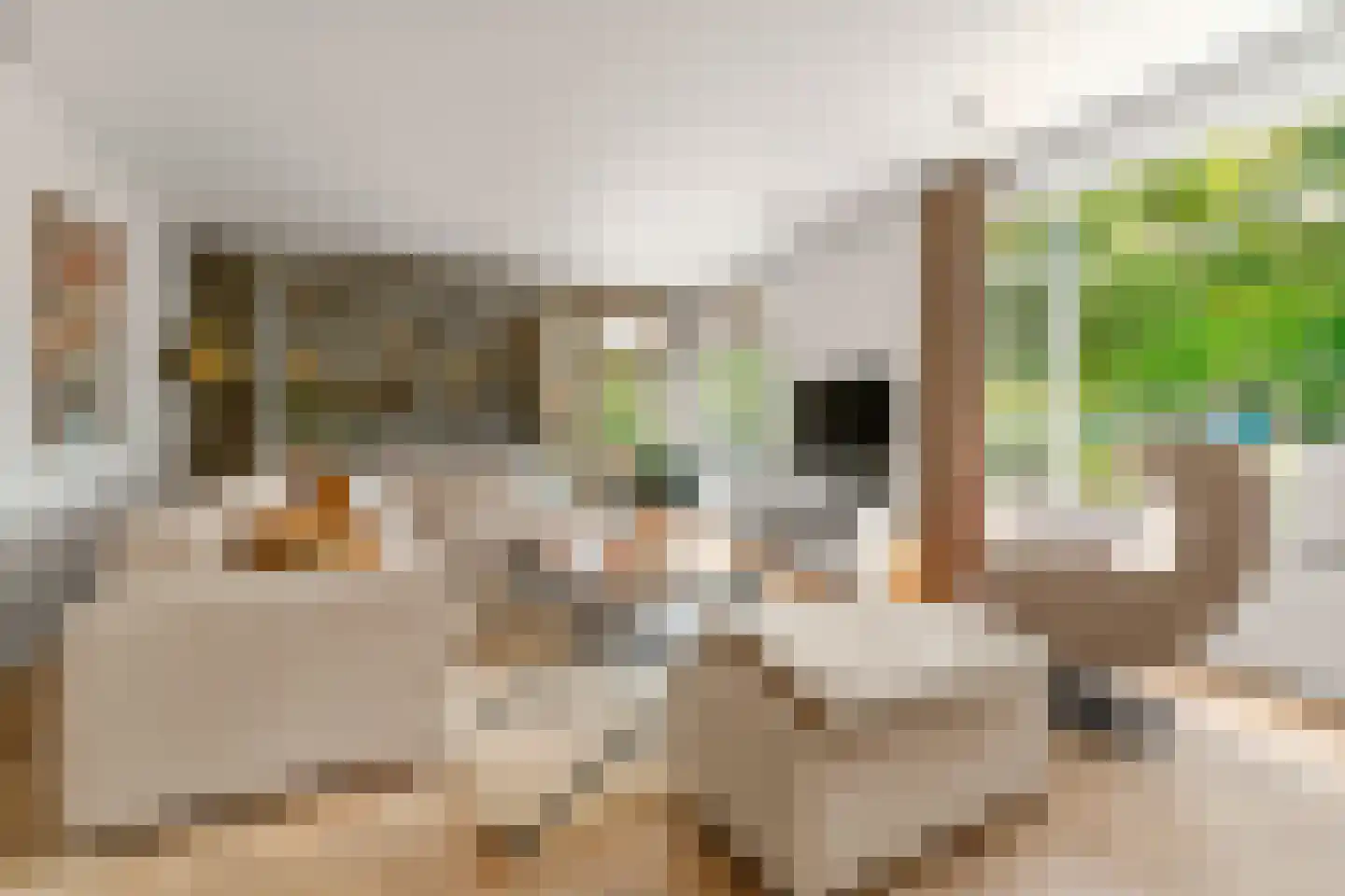 Dukaatlaan 4 Waddinxveen thumbnail 6