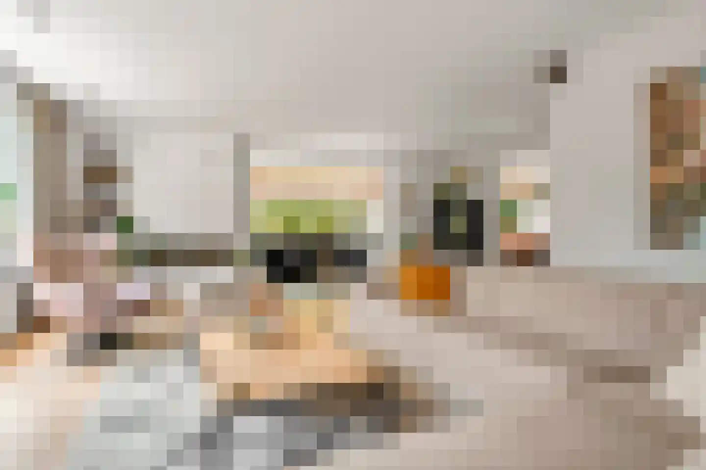 Dukaatlaan 4 Waddinxveen thumbnail 8