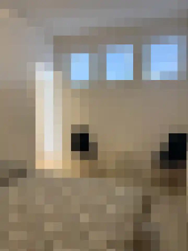 Dukaatpassage 141 Lelystad thumbnail 8