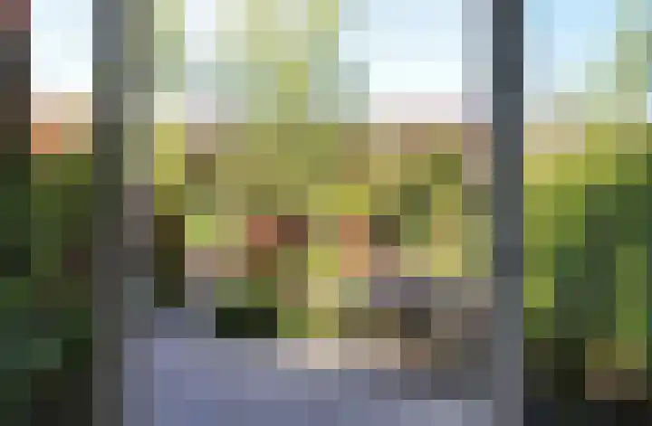 Dukaatplantsoen 12 Utrecht thumbnail 11