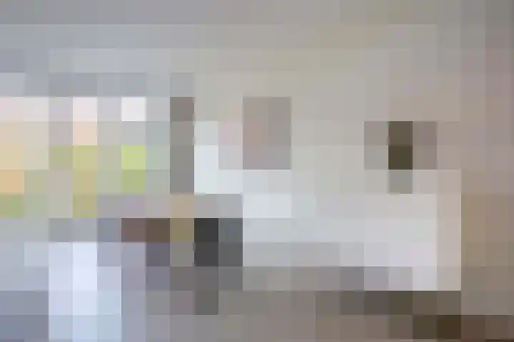 Dukaatplantsoen 12 Utrecht thumbnail 12