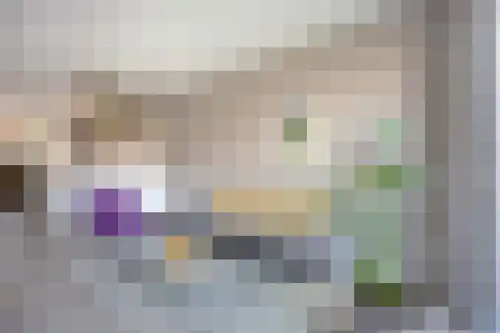 Dukaatplantsoen 12 Utrecht thumbnail 13