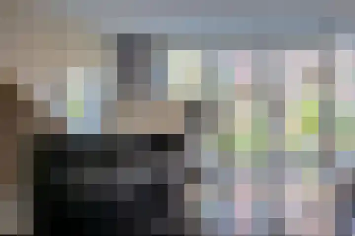 Dukaatplantsoen 12 Utrecht thumbnail 15