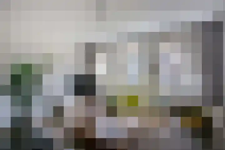 Dukaatplantsoen 12 Utrecht thumbnail 21