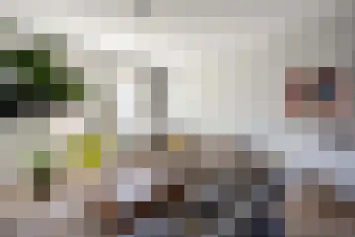 Dukaatplantsoen 12 Utrecht thumbnail 22
