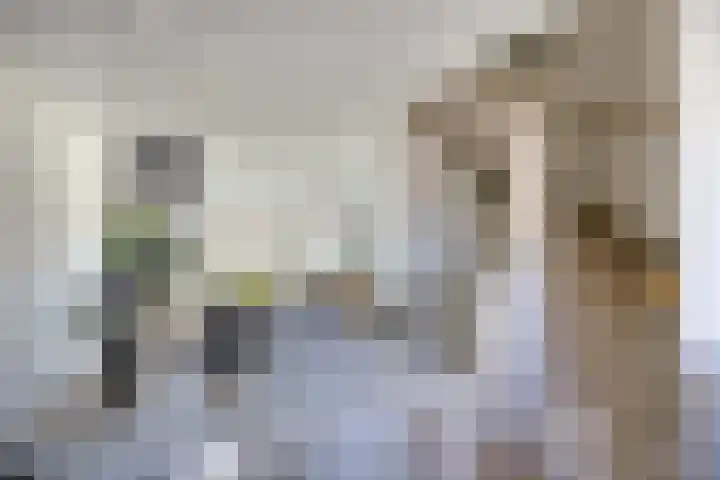 Dukaatplantsoen 12 Utrecht thumbnail 24