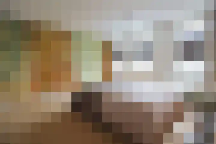Dukaatplantsoen 12 Utrecht thumbnail 26