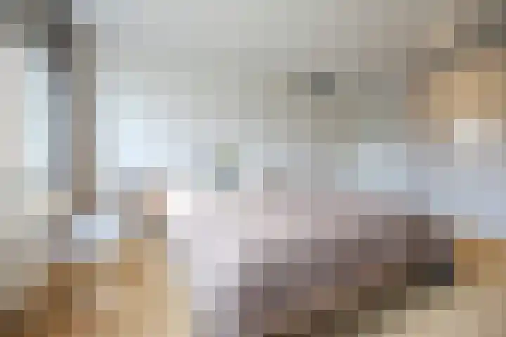 Dukaatplantsoen 12 Utrecht thumbnail 27