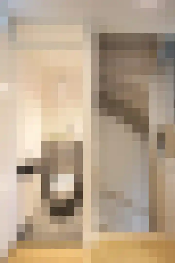 Dukaatplantsoen 12 Utrecht thumbnail 30