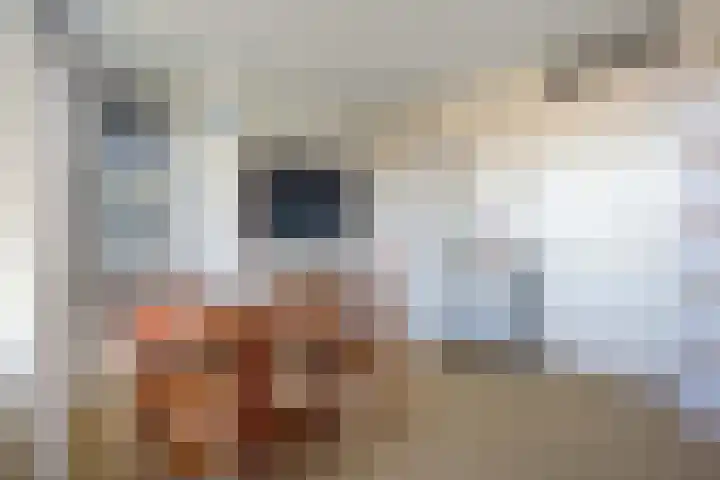Dukaatplantsoen 12 Utrecht thumbnail 32