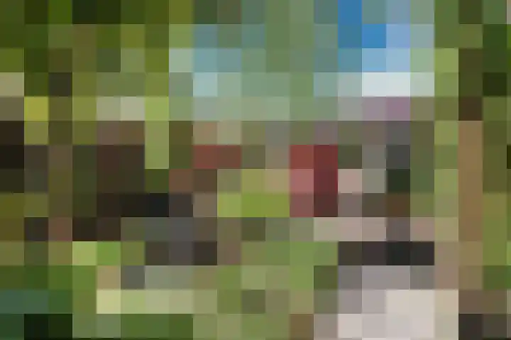 Dukaatplantsoen 12 Utrecht thumbnail 47