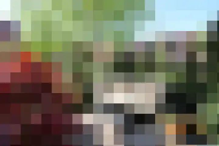 Dukaatplantsoen 12 Utrecht thumbnail 48