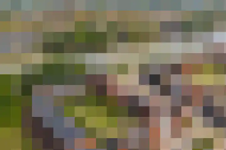 Dukaatplantsoen 12 Utrecht thumbnail 57