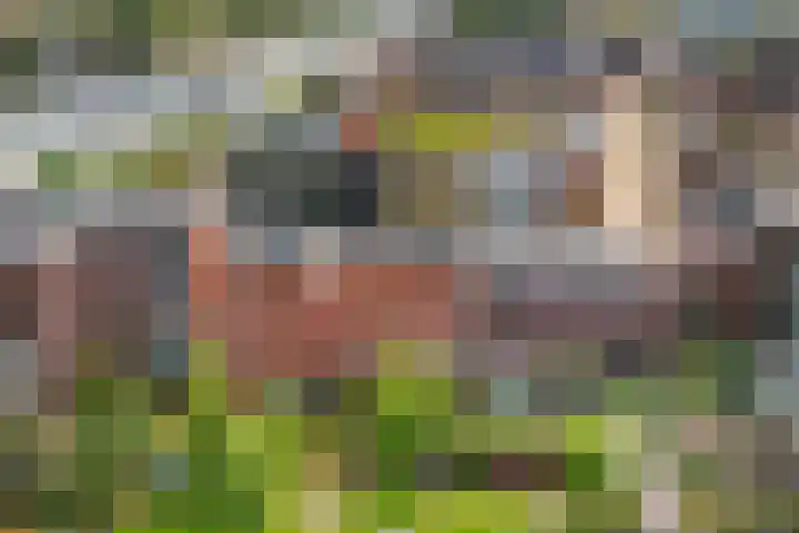 Dukaatplantsoen 12 Utrecht thumbnail 58