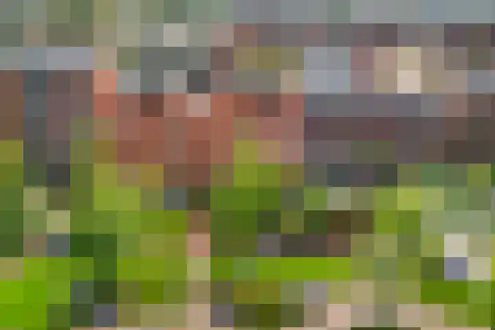 Dukaatplantsoen 12 Utrecht thumbnail 59