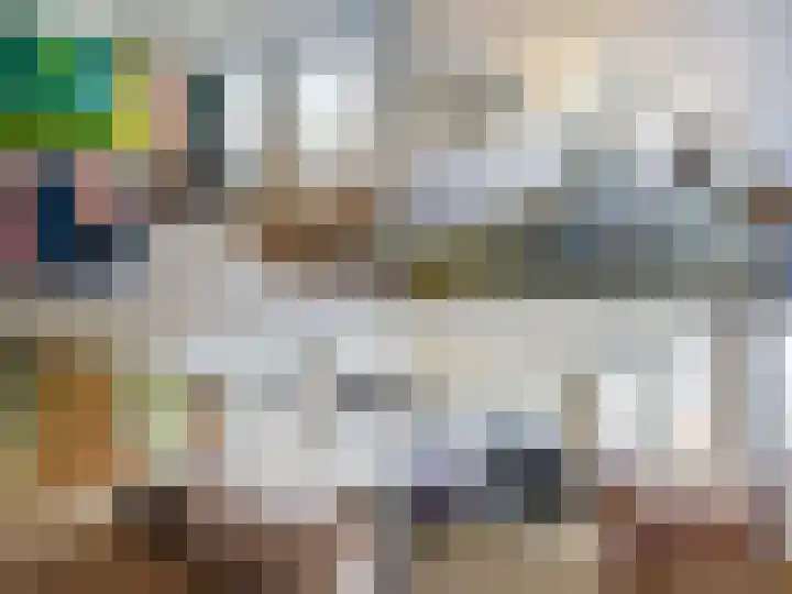 Dukaatplantsoen 12 Utrecht thumbnail 6