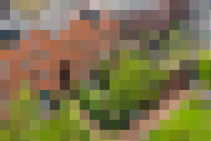 Dukaatplantsoen 12 Utrecht thumbnail 60