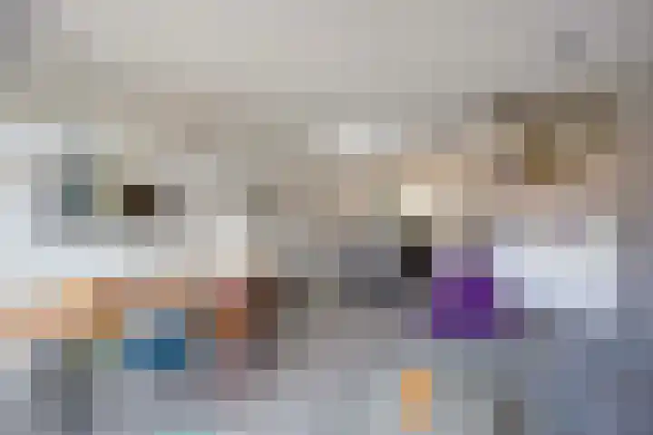 Dukaatplantsoen 12 Utrecht thumbnail 9