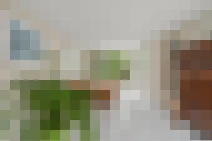 Dukaatslag 16 Houten thumbnail 10