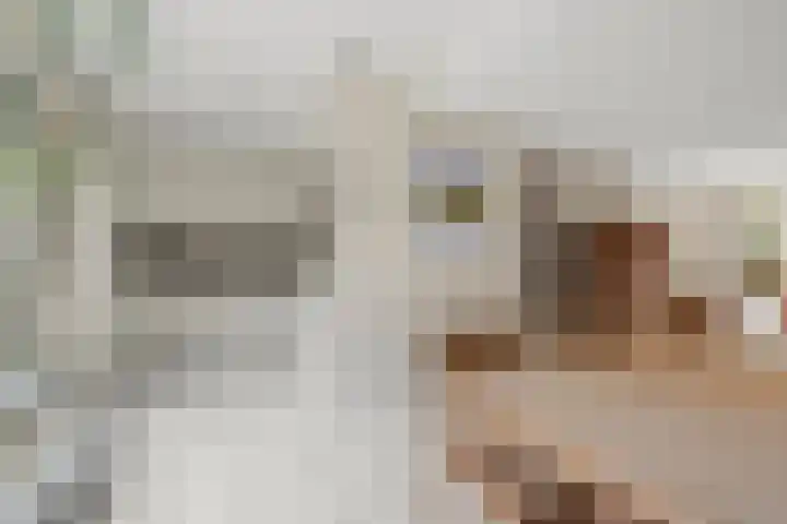 Dukaatslag 16 Houten thumbnail 13