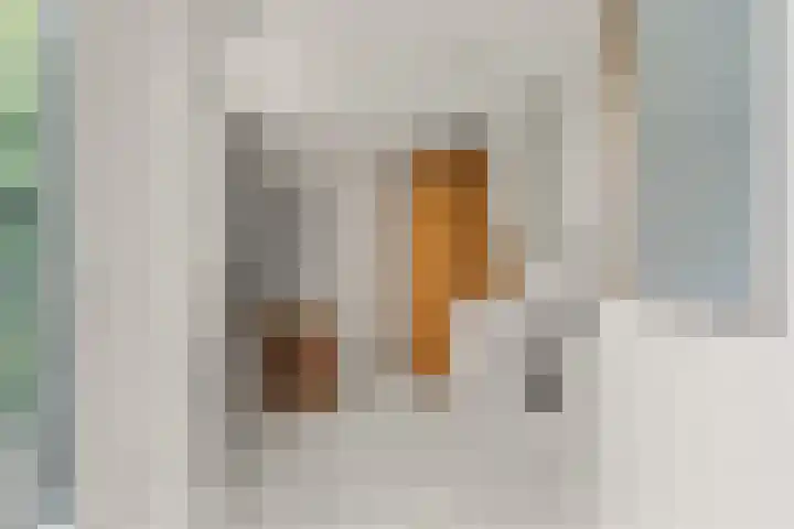 Dukaatslag 16 Houten thumbnail 17