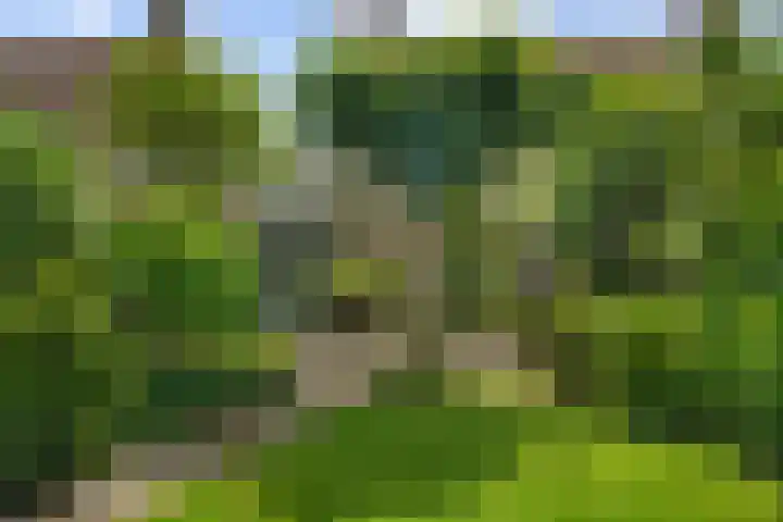 Dukaatslag 16 Houten thumbnail 19