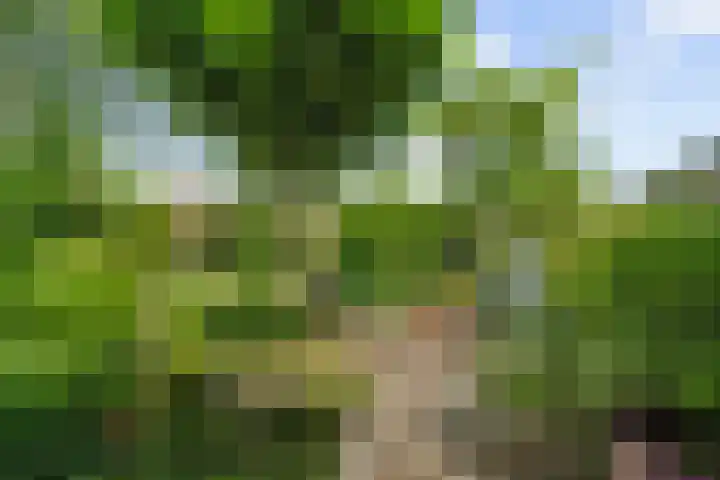 Dukaatslag 16 Houten thumbnail 20