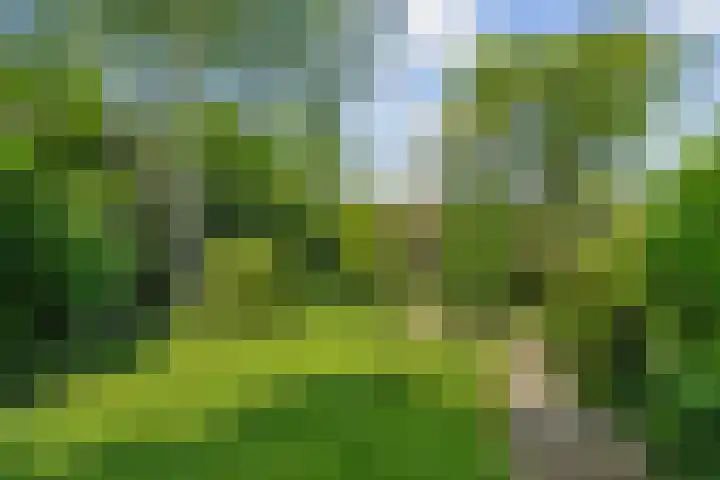 Dukaatslag 16 Houten thumbnail 21