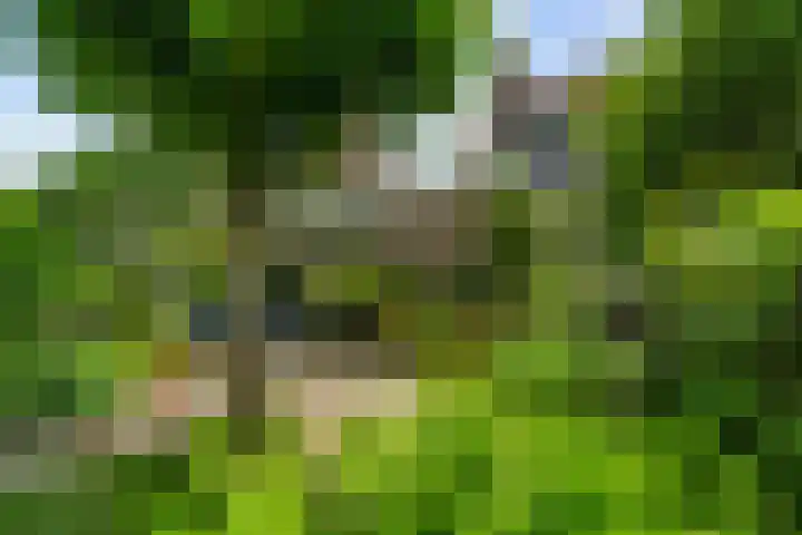 Dukaatslag 16 Houten thumbnail 22