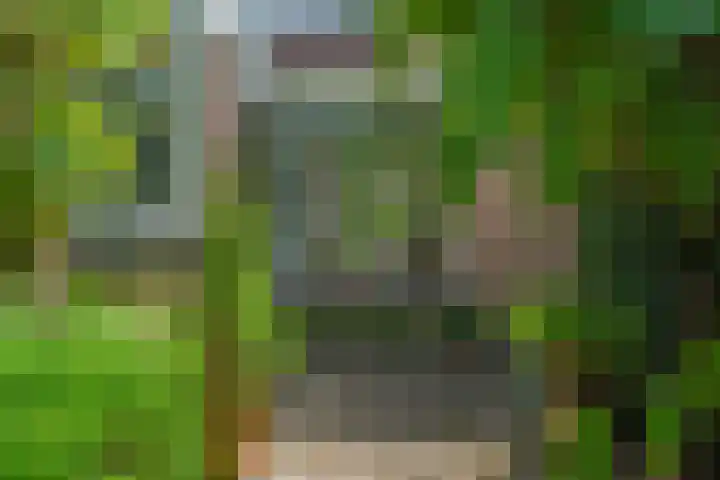 Dukaatslag 16 Houten thumbnail 23